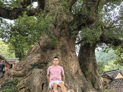 -杨家堂村