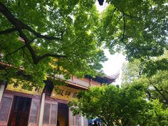 -灵隐飞来峰景区