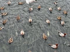-深圳湾公园(南山区)