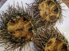 -红叶日料·放题·海胆·定食(星海店)