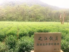 -中国茶叶博物馆(双峰馆区)