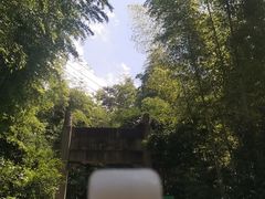 -紫金山天文台