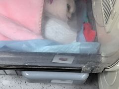 -宠欣安宠物医院·包河区中心医院