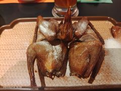 -羽鸽集·乳鸽专门店·地道顺德菜(岭南站店)