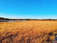-塞罕坝国家级自然保护区