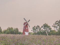 -同里国家湿地公园