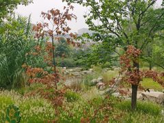 -莲花池公园