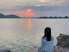 -东湖落雁景区