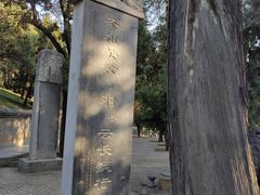 -关林
