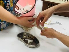 -康成宠物医院24H·CT·核磁共振