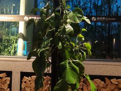 -沐泷泉(南风大剧院店)