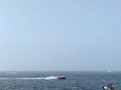 -大连海昌东方水城