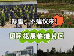 -春花秋色城市公园