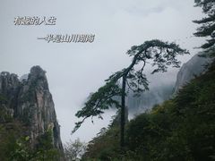 -黄山风景区