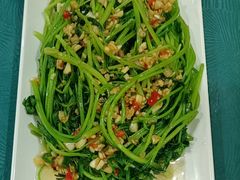 -大班家政月嫂育儿嫂(深圳NO.1店)