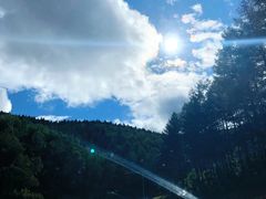 -塞罕坝国家级自然保护区