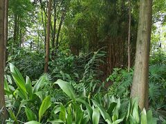 -成都市活水公园