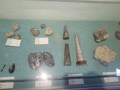 -石排湾郊野公园