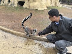 -杭州野生动物世界