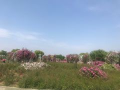 -尚贤河湿地