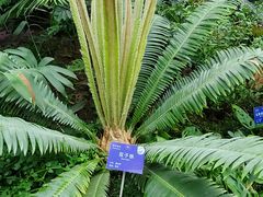 -国家植物园南园