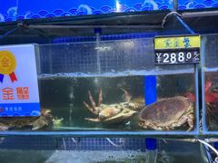 -蟹老板的海鲜