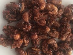 -邱家老字号炒鸡店