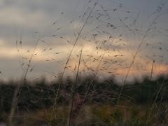 -艾溪湖湿地公园