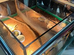 -上海大自然野生昆虫馆(东方明珠·爬宠昆虫探索中心)