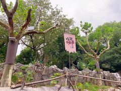 -上海野生动物园
