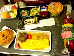 -新加坡航空公司(ION)