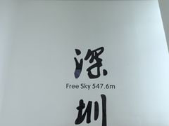 -平安金融中心云际观光层