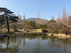-习家池