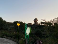-密云玫瑰情园