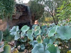 -静之湖湖畔餐厅