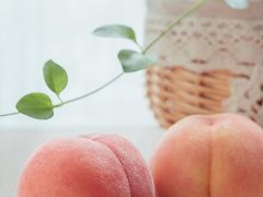 -老袁家蜜桃农场·阳山水蜜桃