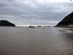 -北岐滩涂