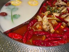 -麻田会 ·鲜活现烹·牛蛙火锅(珠江新城维家思广场店)