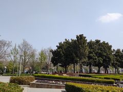 -郑州植物园