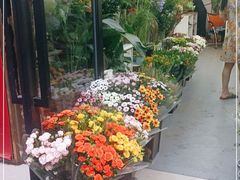 -花草间花行(法华镇路店)