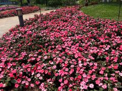 -陕西省西安植物园
