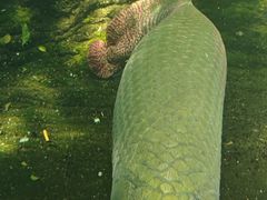 -青青世界
