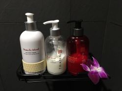 点击看大图 -THANN EXPRESS SPA
