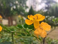 -龙湖重庆时代天街