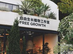 -自由生长植物工作室(深港花卉中心店)