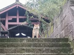 -涞滩古镇