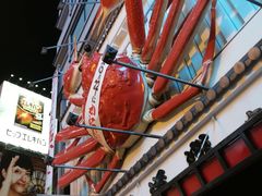 -蟹道乐(道顿堀本店)