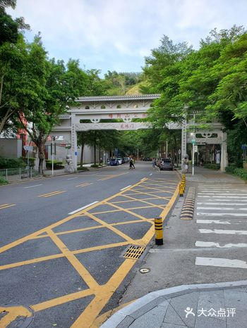 山海连城，深圳核心绿廊：塘朗山