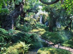 -Chom Cafe and Restaurant