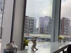 -启德考培雅思托福留学(香洲校区)